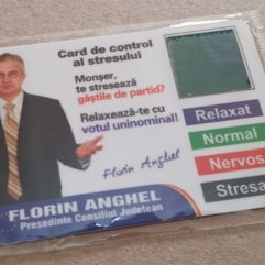 calendar electoral PNL cu magnet, pentru frigider, 2008, Adrian ...